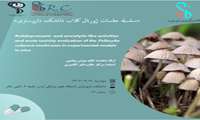 سلسله جلسات ژورنال کلاب دانشکده داروسازی با ارائه سرکار خانم مونس پیامنی